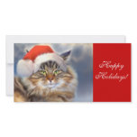Maine Coon Cat Christmas Portrait Photo Card