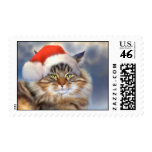 Maine Coon Cat Christmas Portrait Stamps
