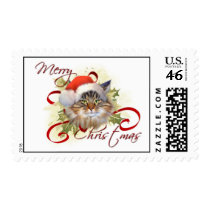 Maine Coon Cat Christmas Stamps