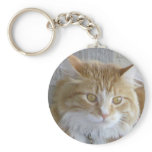 Maine Coon Cat Face Key Ring Keychains