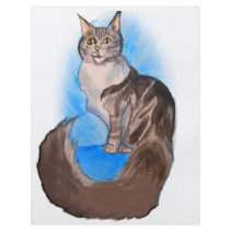 MAINE Coon Cat flyers