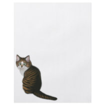 Maine Coon Cat Flyer by twopurringcats Maine Coon Cat Flyer