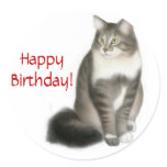 Maine Coon Cat Happy Birthday Sticker