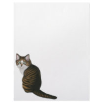 Maine Coon Cat Letterhead