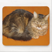 Maine Coon Cat mousepads