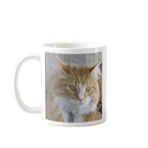 Maine Coon Cat Mug