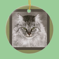 Maine Coon Cat Ornament - "Merlin" ornaments