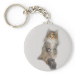 Maine Coon Cat - Patched Key Chains