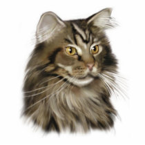 Maine Coon Cat Photo Cutouts