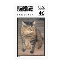 Maine Coon Cat postage by dndartstudio Maine Coon Cat postage