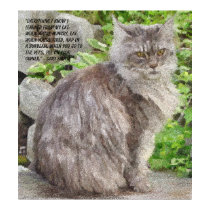 Maine Coon Cat Prints and Posters by Granny_Pats_Gifts Maine Coon Cat Prints and Posters