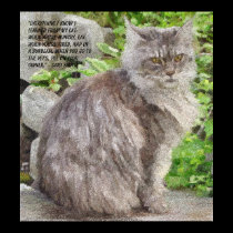 Maine Coon Cat Prints and Posters