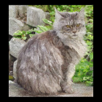 Maine Coon Cat Prints & Posters