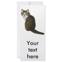 Maine Coon Cat Rack Card