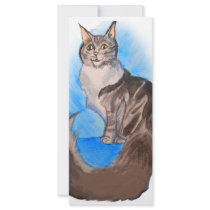 MAINE Coon Cat Full Color Rack Card