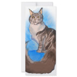 MAINE Coon Cat rack cards