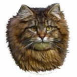 Maine Coon Cat sculpted Feline Pet-lover Gift Item Acrylic Cut Out
