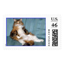 Maine Coon Cat Sitting Pretty postage by asktoto Maine Coon Cat Sitting Pretty postage
