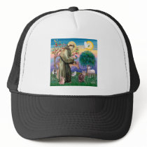 Maine Coon Cat  - St Francis Hat