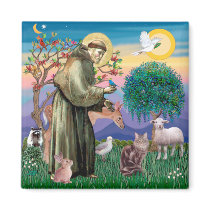 Maine Coon Cat - St Francis magnets by catartgifts Maine Coon Cat - St Francis magnets