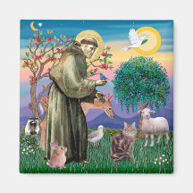 Maine Coon Cat  - St Francis Magnets