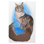 MAINE Coon Cat stationery