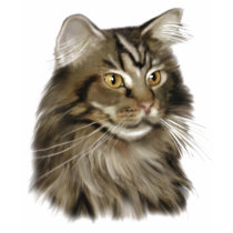 Maine Coon Cat t-shirts by staril Maine Coon Cat t-shirts