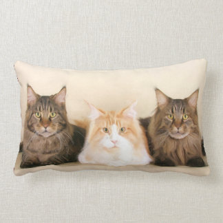 coon pillows