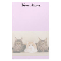Maine Coon Cats Personalized Stationery