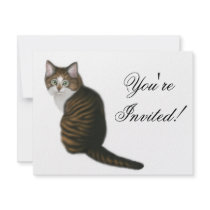 Maine Coon Kitten Invitation