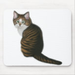 Maine Coon Kitten Mousepad Maine Coon Kitten Mousepad