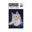 maine coon kitten postage stamp