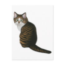 Maine Coon Kitten Postcard by twopurringcats Maine Coon Kitten Postcard