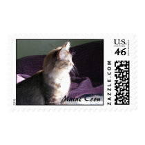 Maine Coon Kitten Stamps by RedTabbyVillage Maine Coon Kitten Stamps
