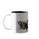 Maine Coon kittens Mug