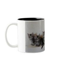 Maine Coon kittens Mug