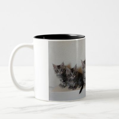 Best selling Maine Coon kittens on a mug. These beautiful kittens belonged