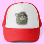 Maine Coon kitty
