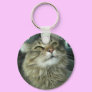 Maine Coon kitty