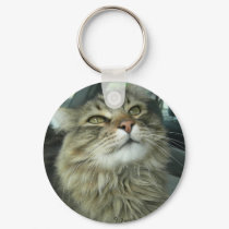 Maine Coon kitty keychains by JeanC_PurpleDucky Maine Coon kitty keychains