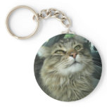 Maine Coon kitty Keychain