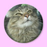 Maine Coon kitty Magnets