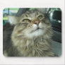 Maine Coon kitty Mouse Mats