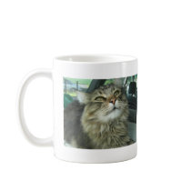 Maine Coon kitty Coffee Mugs