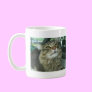 Maine Coon kitty Coffee Mugs