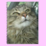 Maine Coon kitty Spiral Notebook