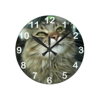 Maine Coon kitty Round Clocks