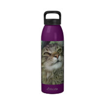 Maine Coon kitty Drinking Bottles