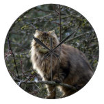 Maine Coon Long-hair Tabby Cat Animal Pet Clock