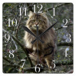 Maine Coon Long-hair Tabby Cat Animal Pet Clock